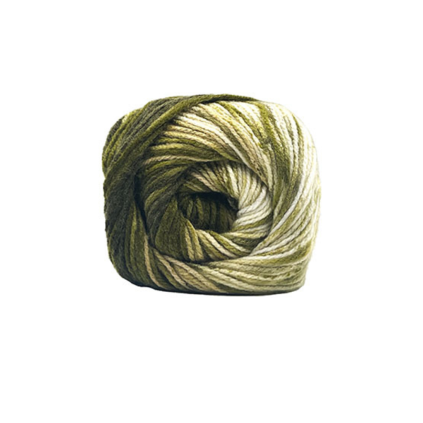 LCB1-2000 forêt sauvage